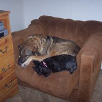 Charlotte Frazier Photo 7