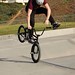 Steven Rice Photo 33