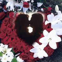 Linda Scheiner Photo 5