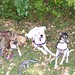 Diane Summers Photo 19