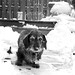 Lois Beard Photo 13