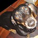 Judy Amado Photo 12