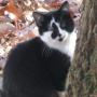 Debra Cash Photo 22