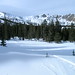 Janet Skinner Photo 27