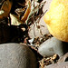 Terrie Stone Photo 11