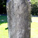 Ann Wilcox Photo 17