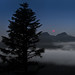 Larry Parks Photo 13