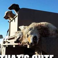 Clay Robinson Photo 46