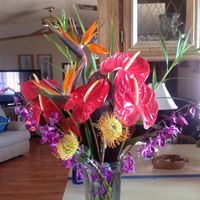 Mary Berlin Photo 27