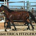 Erica Fitzgerald Photo 22