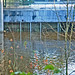 Gale Flood Photo 13