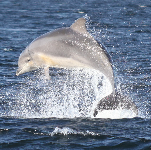 Mark Whittaker Photo 12