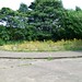 David Poles Photo 4