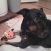 Linda Kehoe Photo 11