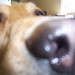 Brandy Slack Photo 8