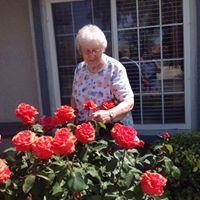 Arlene Cook Photo 23