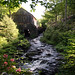Laura Mills Photo 14