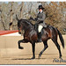 Janet Sharpe Photo 13