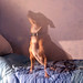 Gina Wilkins Photo 8