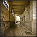 Nicholas Gannon Photo 19