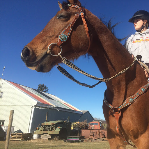 Brooke Shaffer Photo 27