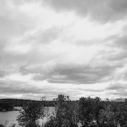 David Brisson Photo 16