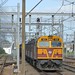 Allen Goodwin Photo 10