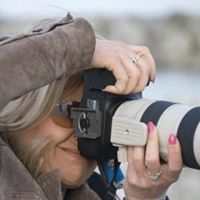 Debbie Carlton Photo 17