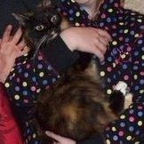 Kitty Bailey Photo 30