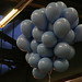 Susan Sterne Photo 2
