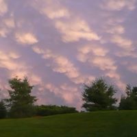 Amy Arrowood Photo 10