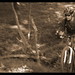 Gary Schaeffer Photo 29