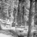 Gerald Patterson Photo 26