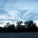 Dawn Dickson Photo 16