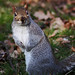Danny Nutter Photo 16