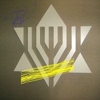 Shira Newman Photo 5