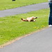 Anne Parks Photo 31