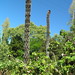 Fern Russell Photo 14