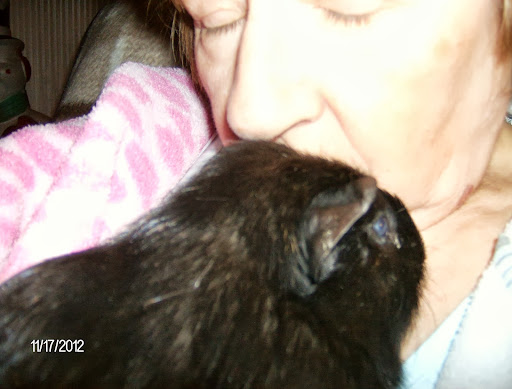 Nancy Skinner Photo 8