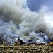 Dallas Sparks Photo 18