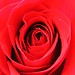 Valentine Gutierrez Photo 12