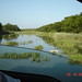 Allison Park Photo 8