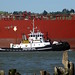 Linda Jacobs Photo 21