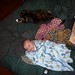 Kitty Sutton Photo 18