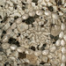 Scott Shell Photo 40