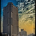 Mohamed Salem Photo 25