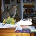 Eddie Norton Photo 28