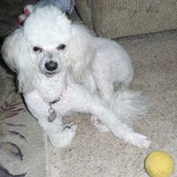 Debbie Conn Photo 15