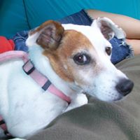 Sadie Sexton Photo 4