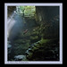 Stephen Rappel Photo 4